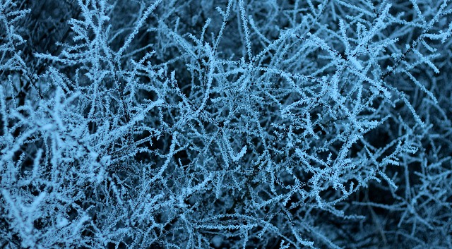 iv Betlm kyn 23.12.2010