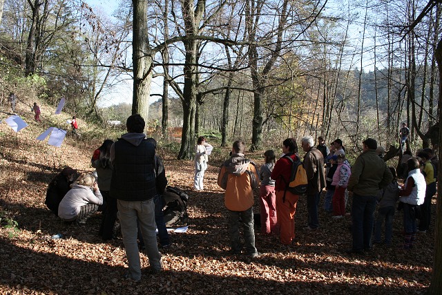 Den strom ve Zdl 26.10.2008