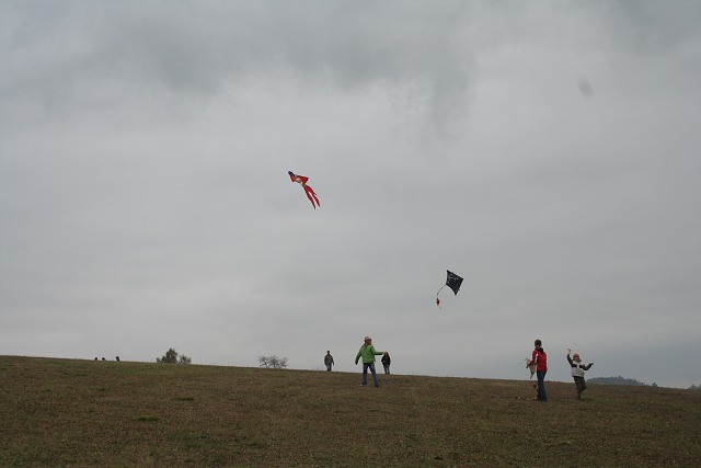 Drakyjda 2007 kyn