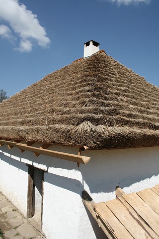 Vodn mln Hoslovice  ,kvten 2008