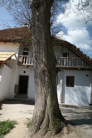 Vodn mln Hoslovice  ,kvten 2008