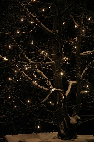 Lucky 12.12.2010 Svat M