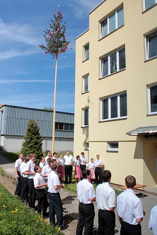 Staroesk mje  estice 7.kvtna 2011
