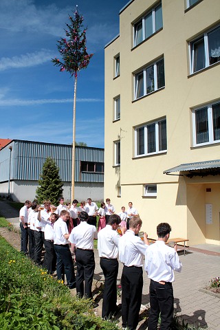 Staroesk mje  estice 7.kvtna 2011