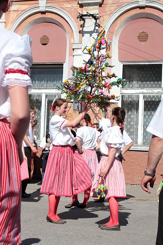 Staroesk mje  estice 7.kvtna 2011