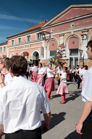 Staroesk mje  estice 7.kvtna 2011