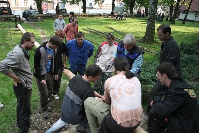 Mjka kyn 2009