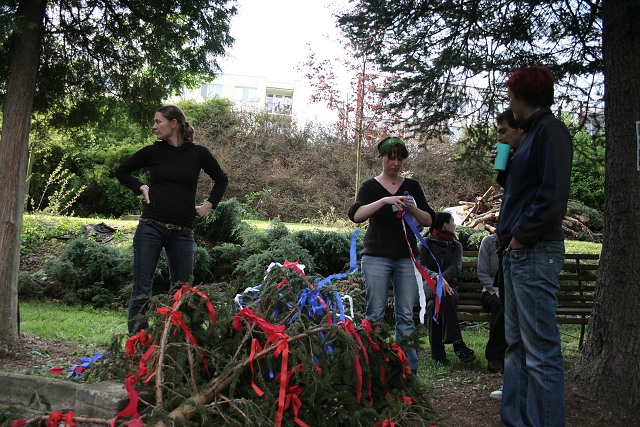 Mjka kyn 2009