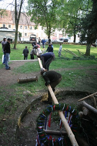 Mjka kyn 2009