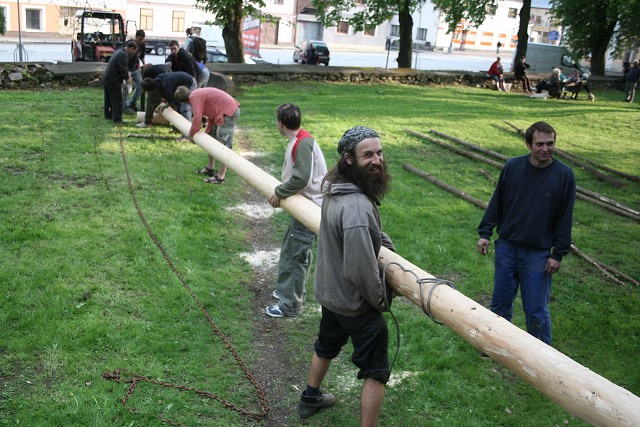 Mjka kyn 2009