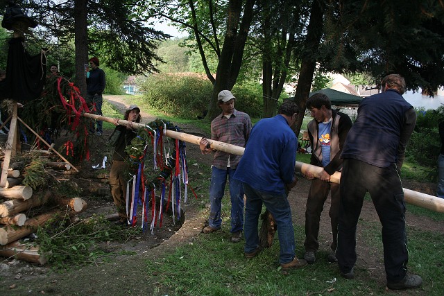 Mjka kyn 2009