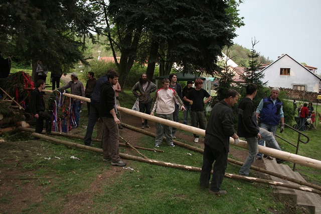 Mjka kyn 2009