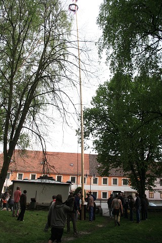 Mjka kyn 2009