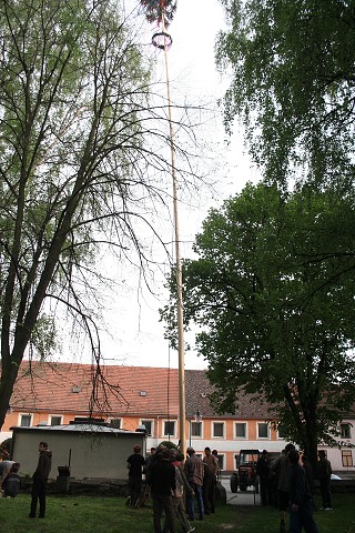 Mjka kyn 2009