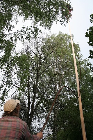 Mjka kyn 2009