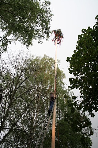 Mjka kyn 2009