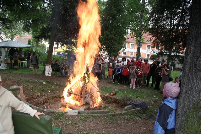 Mjka kyn 2009