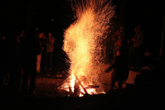 Mjka kyn 2009