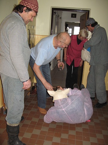 Masopust kyn 5.3.2011