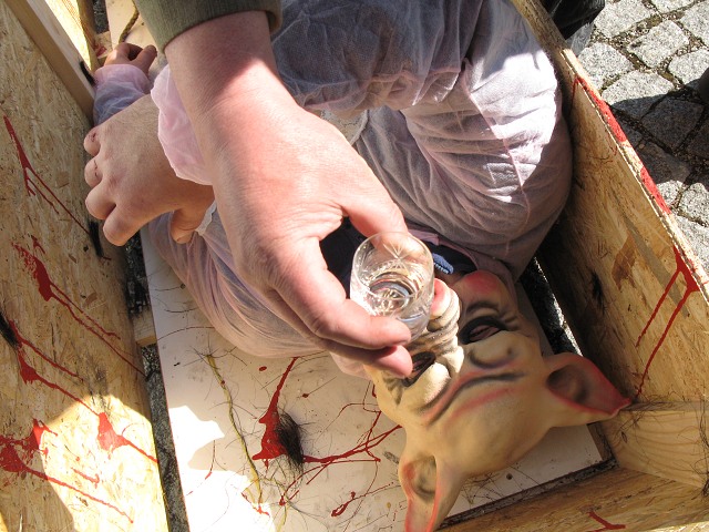 Masopust kyn 5.3.2011