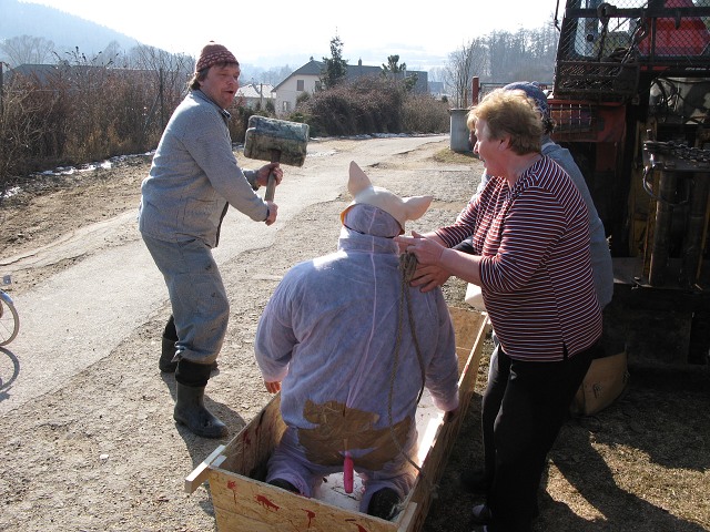 Masopust kyn 5.3.2011