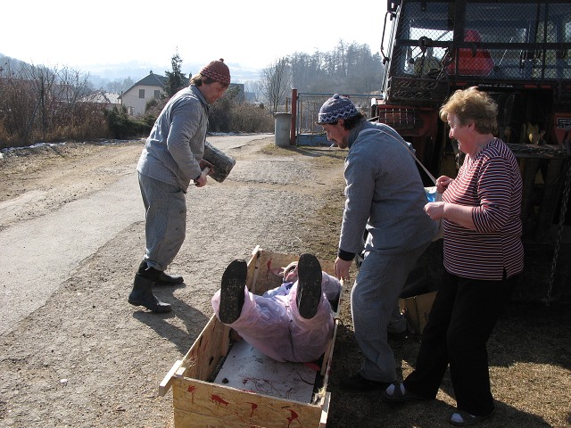 Masopust kyn 5.3.2011