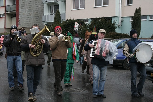 Masopust ve kyni  2.2.2008