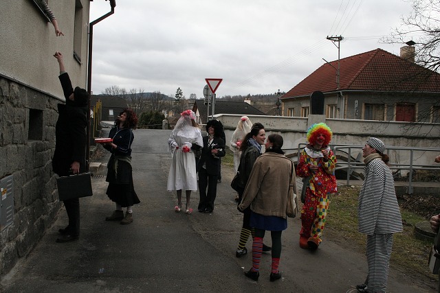 Masopust ve kyni  2.2.2008