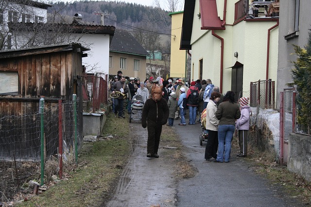 Masopust ve kyni  2.2.2008