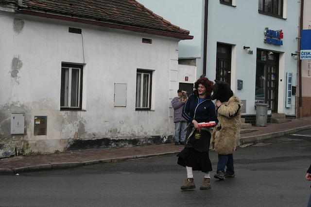 Masopust ve kyni  2.2.2008