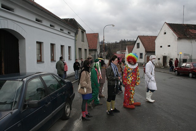 Masopust ve kyni  2.2.2008