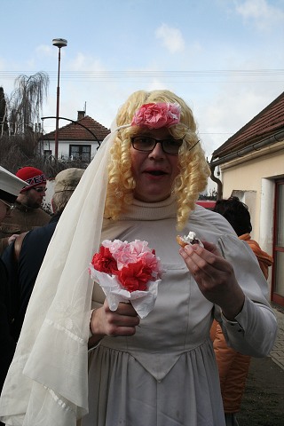 Masopust ve kyni  2.2.2008