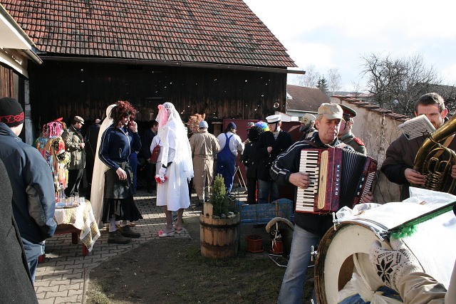 Masopust ve kyni  2.2.2008