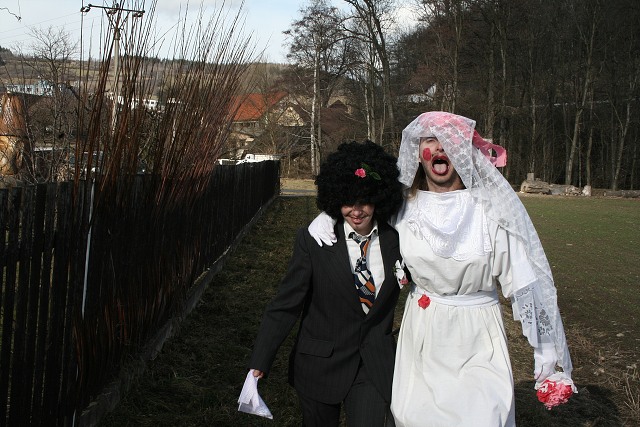 Masopust ve kyni  2.2.2008