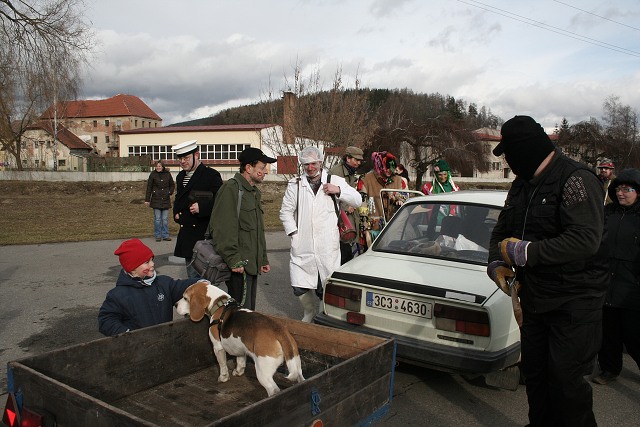 Masopust ve kyni  2.2.2008
