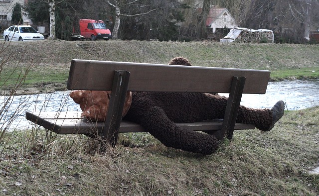 Masopust ve kyni  2.2.2008