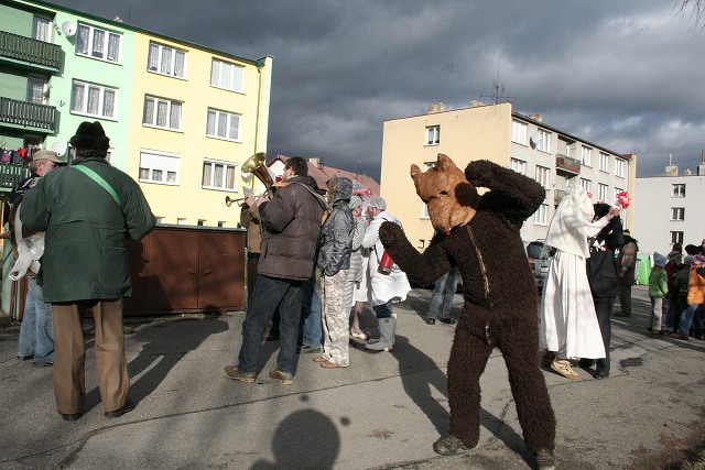 Masopust ve kyni  2.2.2008