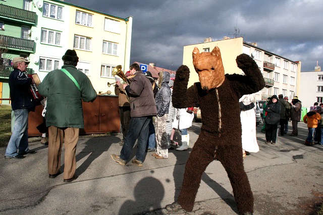 Masopust ve kyni  2.2.2008