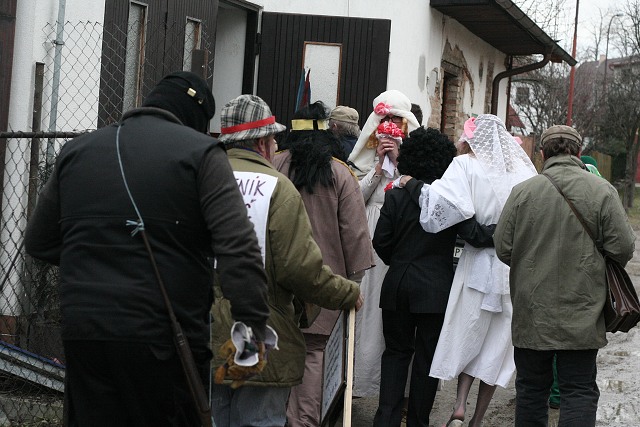 Masopust ve kyni  2.2.2008