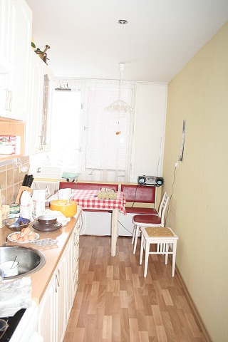 Masopust ve kyni 21.2.2009
