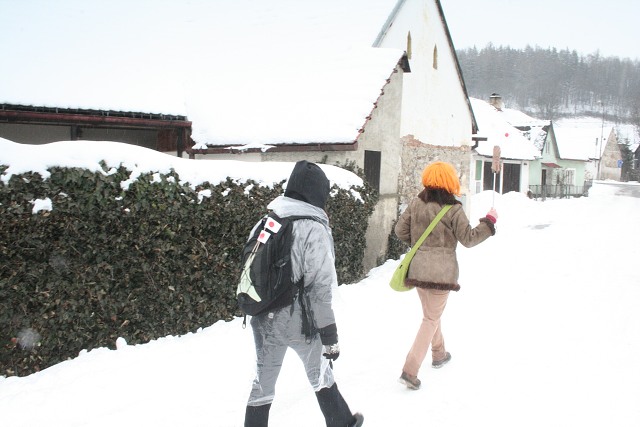 Masopust ve kyni 21.2.2009