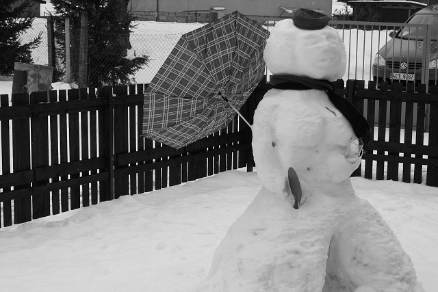 Masopust ve kyni 21.2.2009