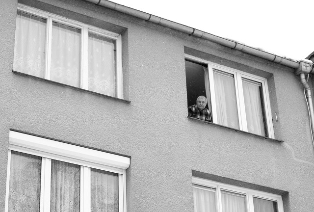 Masopust ve kyni 21.2.2009