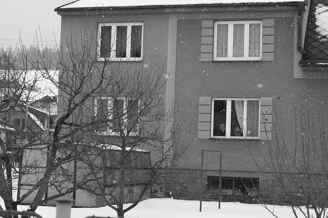 Masopust ve kyni 21.2.2009