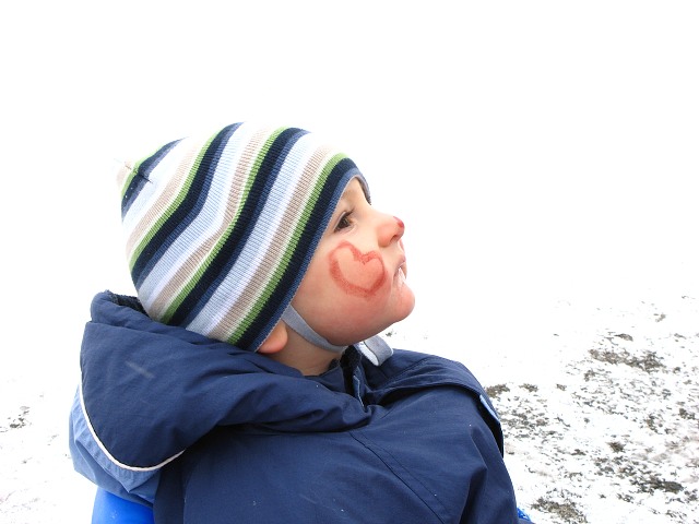 Masopust ve kyni 13.2.2010