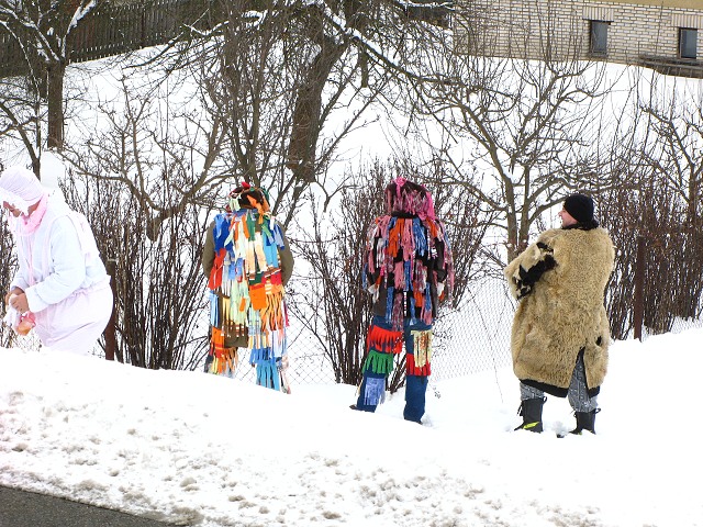 Masopust ve kyni 13.2.2010