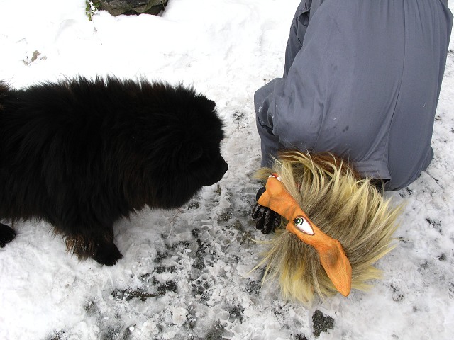 Masopust ve kyni 13.2.2010