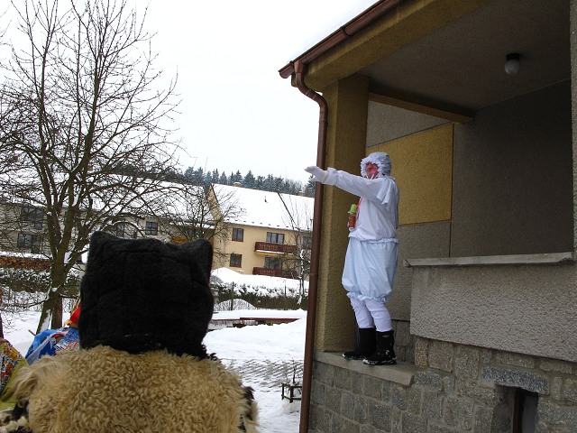 Masopust ve kyni 13.2.2010