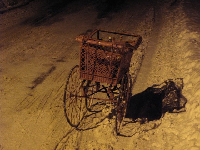 Masopust ve kyni 13.2.2010