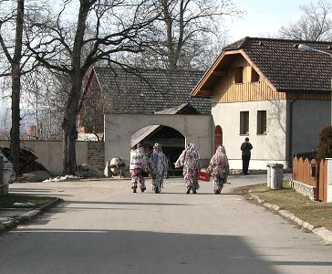 Masopust ve Svat M 20.2.2007